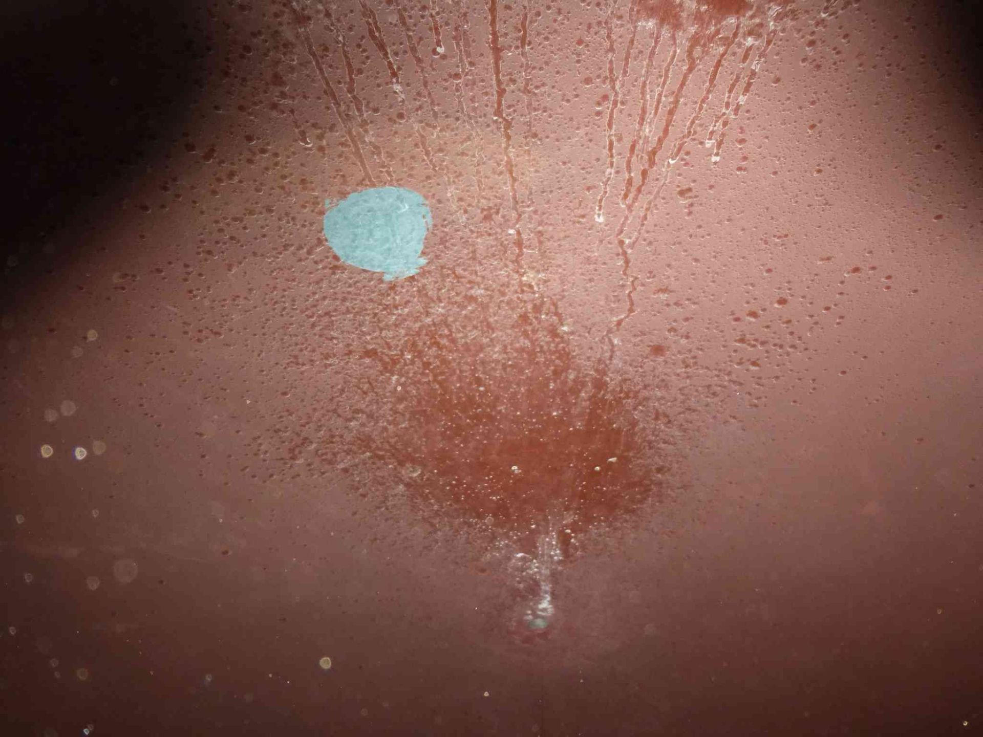 Druckbehälter aus Stahl, ehem. Weinlagertanks (4)